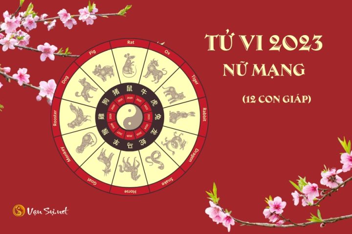 tử vi 2023 nữ mạng tổng quan