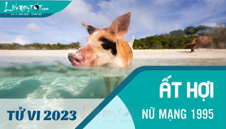 tổng quan tử vi nữ Ất Hợi 1995