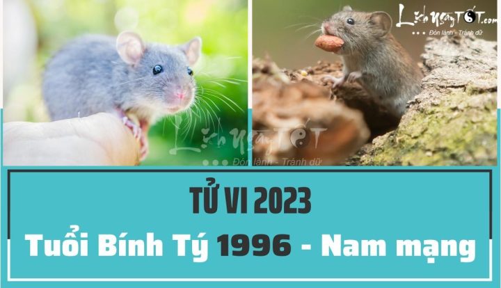 Tử vi 1996 năm 2023: Dự đoán vận mệnh tuổi Bính Tý chi tiết nhất