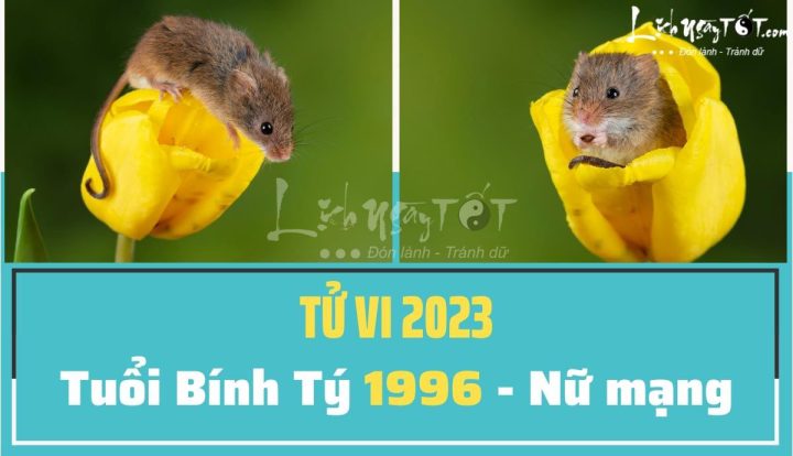 Tử vi Bính Tý 2023: Giải mã vận trình tuổi 1996 trong năm Quý Mão