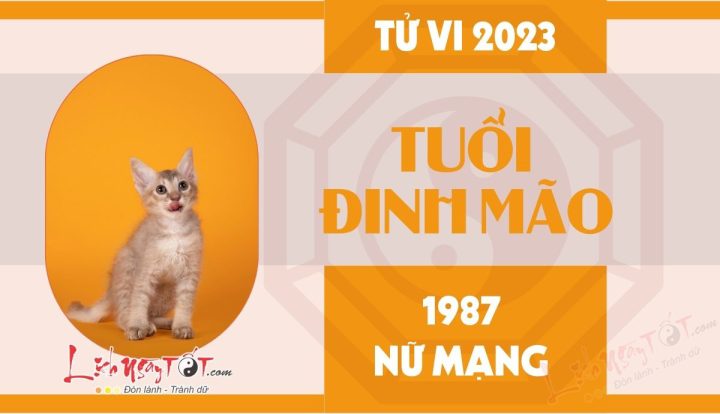Tử vi tuổi Mão 1987 năm 2021 nam mạng (Đinh Mão) chi tiết & chuẩn xác nhất