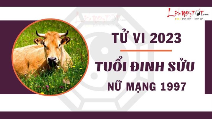 Tử Vi Tuổi Sửu 1997 Năm 2022 Nữ Mạng: Luận Giải Vận Hạn, Cát Hung & Dự Báo Chi Tiết