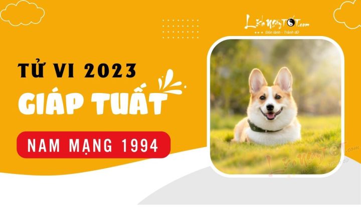 sao-chieu-menh-1994-2023