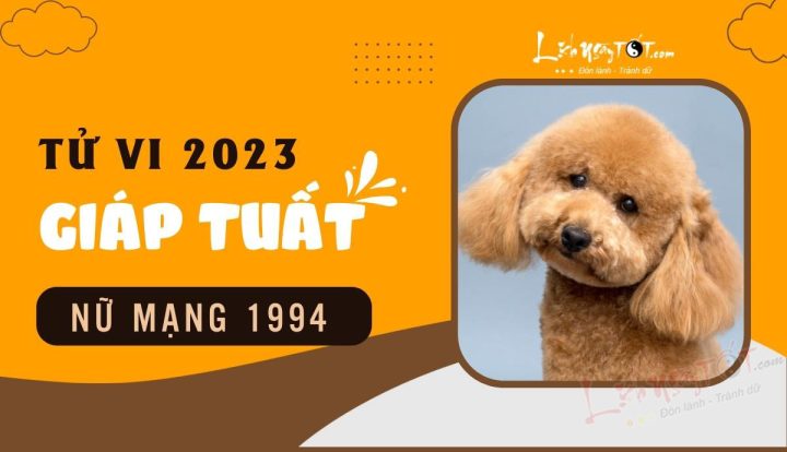 tử vi tuổi tuất 1994 năm 2023 nữ mạng