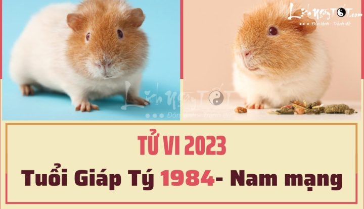 Vận trình tử vi Giáp Tý nam mạng 2023