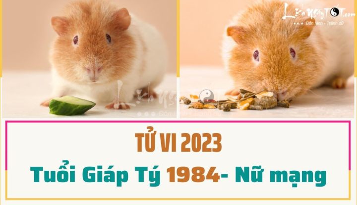 tử vi tuổi giáp tý năm 2023 nữ mạng