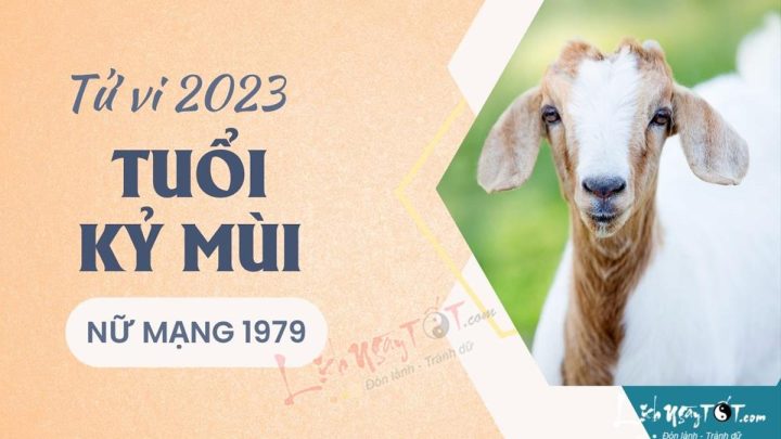 Tử vi tuổi Kỷ Mùi 1979 năm 2023 nam mạng: Luận giải chi tiết và chuẩn xác nhất