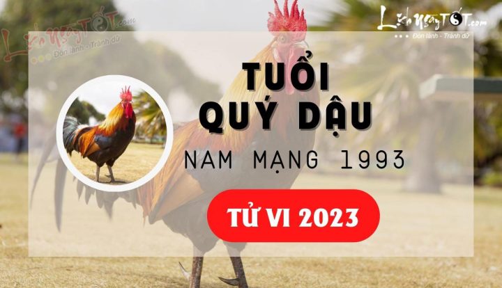 tử vi 1993 nam mạng 2023