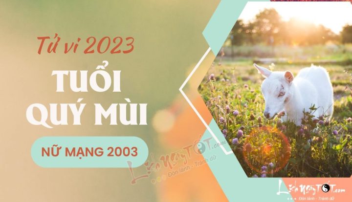 tử vi nữ 2003 năm 2023