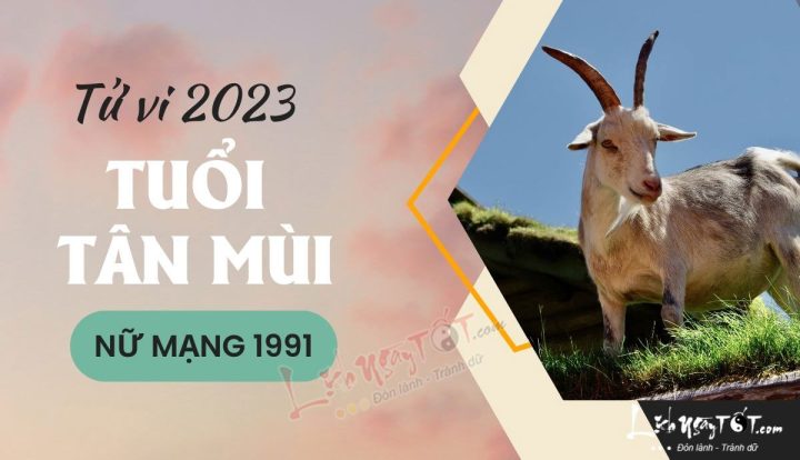 Tử vi Tân Mùi Nam 2023