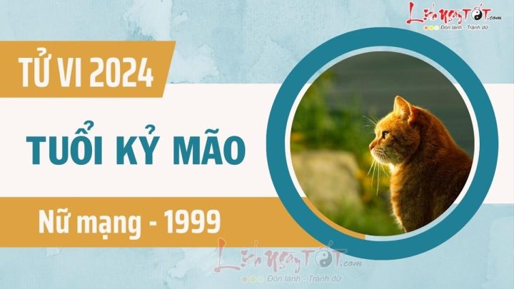 Tử Vi Tuổi Mão 1999 Năm 2022 Nam Mạng: Dự Báo Chi Tiết Vận Hạn – Tài Lộc – Sự Nghiệp