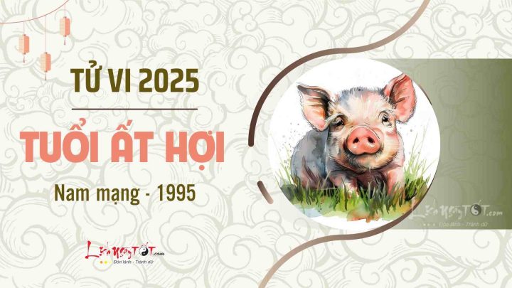 Tử vi tuổi Hợi 1995 năm 2022 nam mạng: Dự đoán vận hạn & phong thủy ứng dụng chuẩn xác