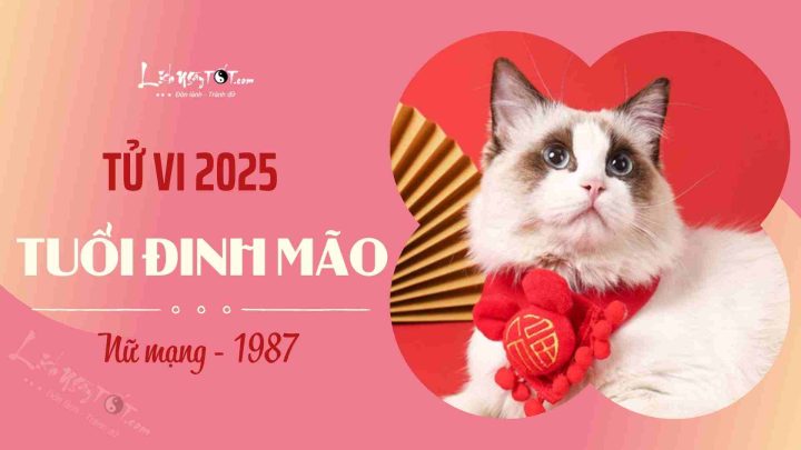 Tử Vi Tuổi Đinh Mão Ngày Hôm Nay: Dự Báo Công Việc, Tình Duyên, Sức Khỏe