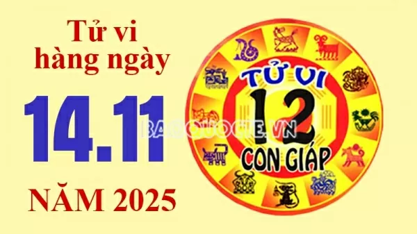Tử Vi Hôm Nay Theo Ngày Sinh: Xem Vận Trình, May Mắn & Lời Khuyên Từng Tuổi