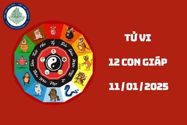 Tử vi 12 con giáp ngày 11 – Dự đoán chi tiết tài lộc, tình duyên & công danh