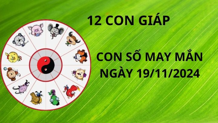 Vận may của 12 con giáp ngày 19/11