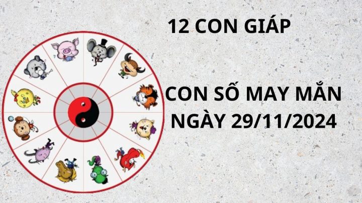 Tử vi tuổi Tý 29/11