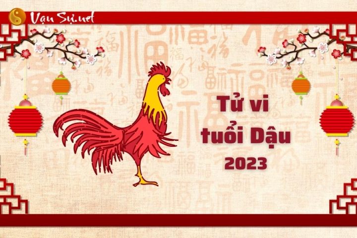 Tử vi 2005 năm 2023 nam mạng: Luận giải vận hạn, tài lộc, học hành và phong thủy chi tiết