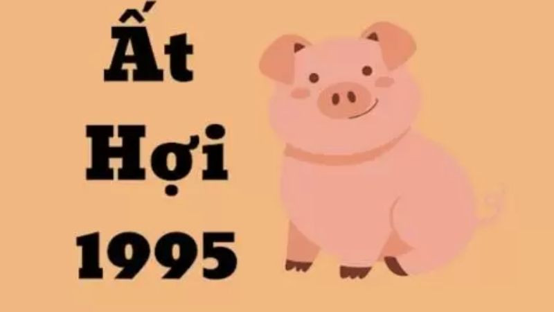 Tuổi Ất Hợi 1995 cầm tinh con Heo