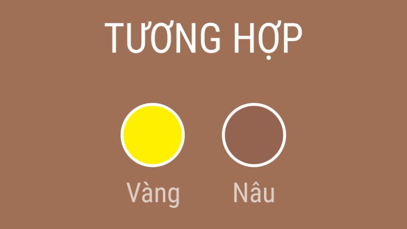 Tuổi ất Sửu 1985 hợp màu nâu, vàng, trắng, ánh kim,...