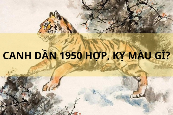 Tuổi Canh Dần 1950 không hợp và hợp màu nào