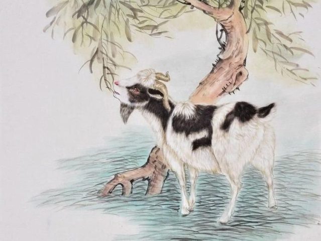 Tử vi tuổi Mùi ngày hôm nay: Dự báo chi tiết sự nghiệp, tài lộc, tình duyên & sức khỏe