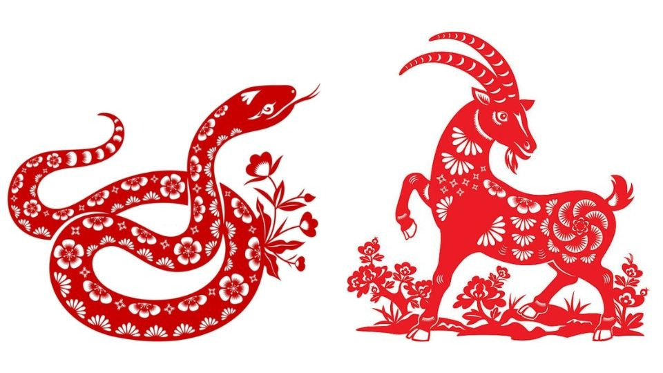 Tuổi Tỵ kết hợp Tam Hợp Dậu, Sửu mang lại may mắn