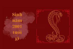 Tượng gỗ trang trí mang ý nghĩa phong thủy, tượng trưng cho sự vững chắc của hành Thổ tương sinh với mệnh Kim