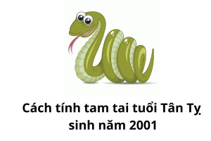 Tượng phong thủy mang ý nghĩa che chở, bảo vệ gia chủ khỏi những điều không may mắn