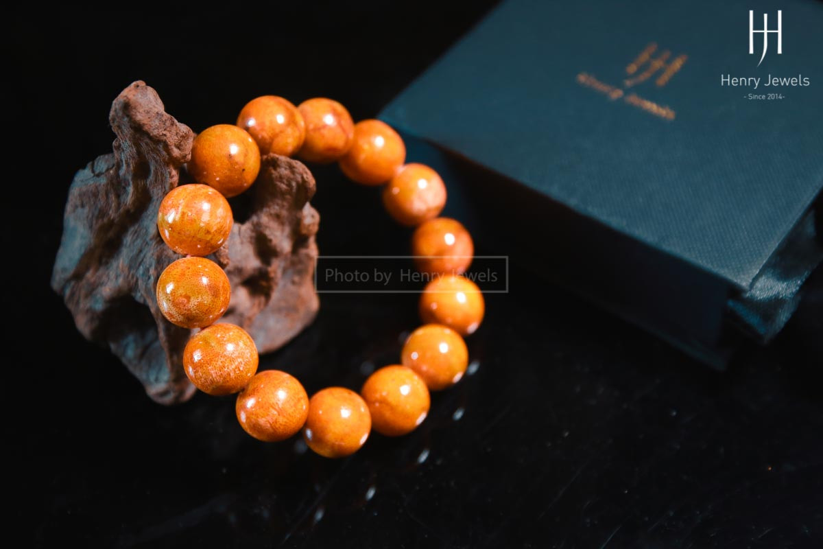 Vòng san hô hóa thạch