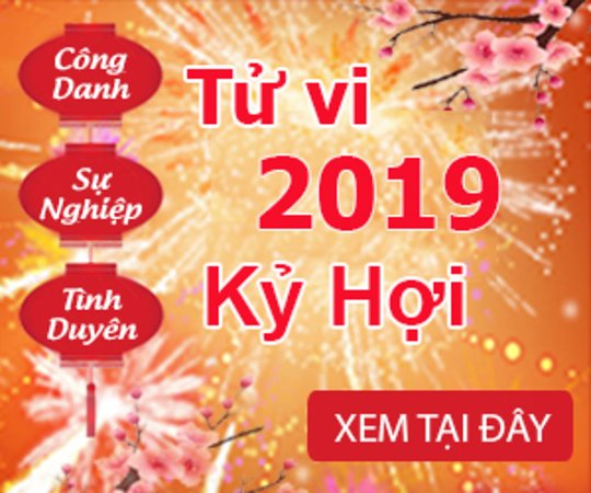 Xem Bói Tử Vi 2019: Dự Đoán Vận Mệnh 12 Con Giáp Chi Tiết Nhất