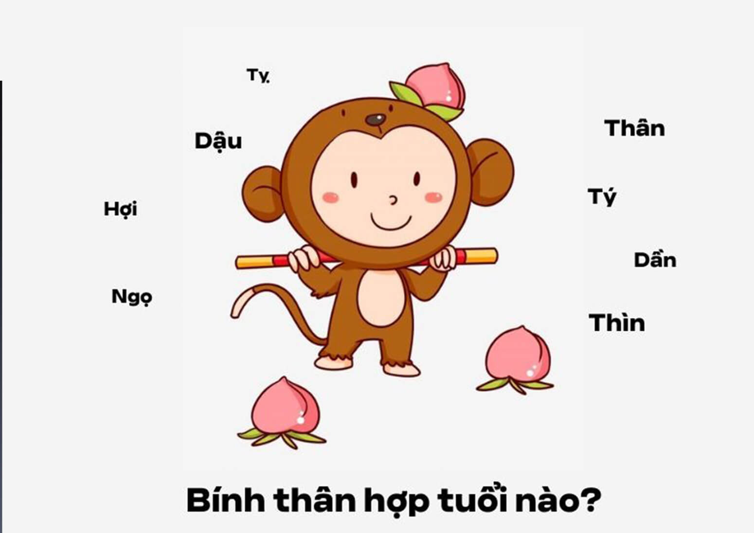 Xem các tuổi hợp và con số may mắn cho người sinh năm 1956
