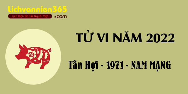 Tử vi tuổi Tân Hợi năm 2022 nam mạng 1971: Luận giải chi tiết và chuẩn xác nhất