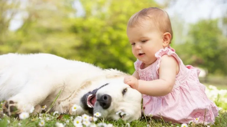 Ý nghĩa các cặp đôi hợp tuổi trong Ngũ Hành