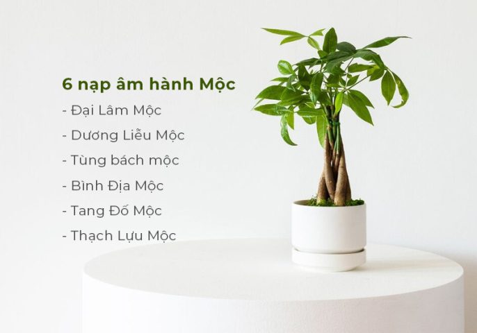 Ý nghĩa của hành Mộc trong Ngũ hành