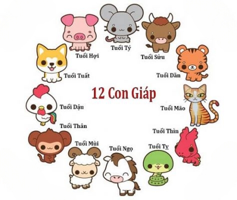 Tử Vi 12 Con Giáp Ngày 17 - Vận Mệnh, Tình Duyên, Sự Nghiệp Của Bạn