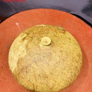 Chum Phú Quý Gỗ Nu Hương Chum Phú Quý Gỗ Nu Hương