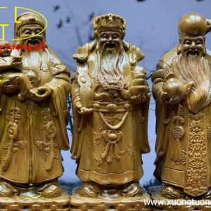 Tam đa bách xanh cao 50 Tam đa bách xanh cao 50