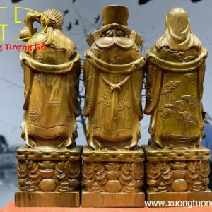 Tam đa bách xanh cao 50 Tam đa bách xanh cao 50