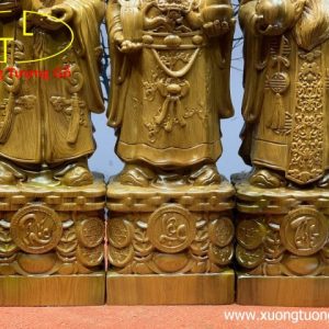Tam đa bách xanh cao 50 Tam đa bách xanh cao 50
