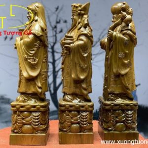 Tam đa bách xanh cao 50 Tam đa bách xanh cao 50
