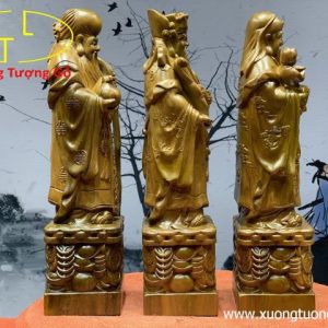 Tam đa bách xanh cao 50 Tam đa bách xanh cao 50