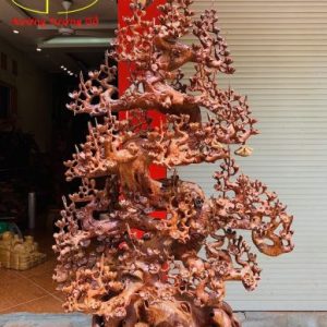 Bình Mai nu hương. Bình Mai nu hương.