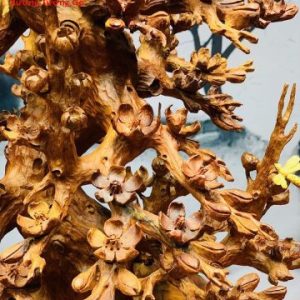 Bình mai gỗ hương. Bình mai gỗ hương.