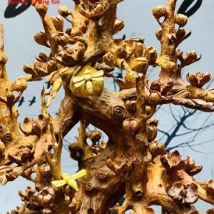 Bình mai gỗ hương. Bình mai gỗ hương.