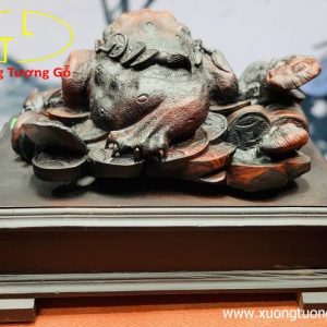 Thiềm thừ gỗ trắc. Thiềm thừ gỗ trắc.