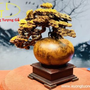 Bình Tùng Nu Hương