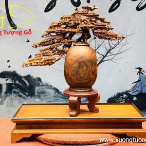 Bình tùng gỗ sưa