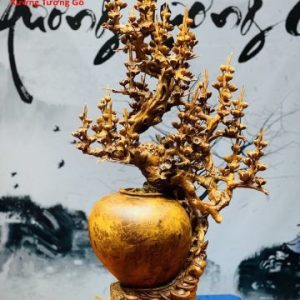 Bình mai nu hương
