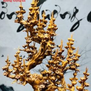 Bình mai nu hương Bình mai nu hương